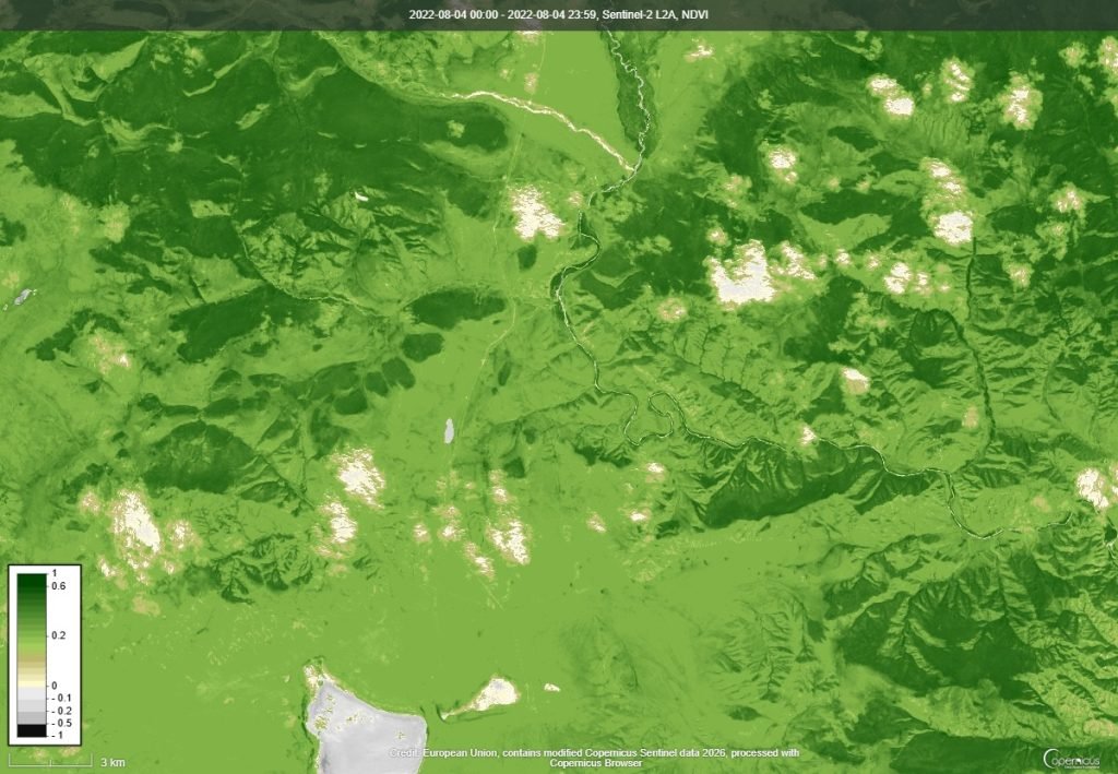 NDVI ургамлын индекс