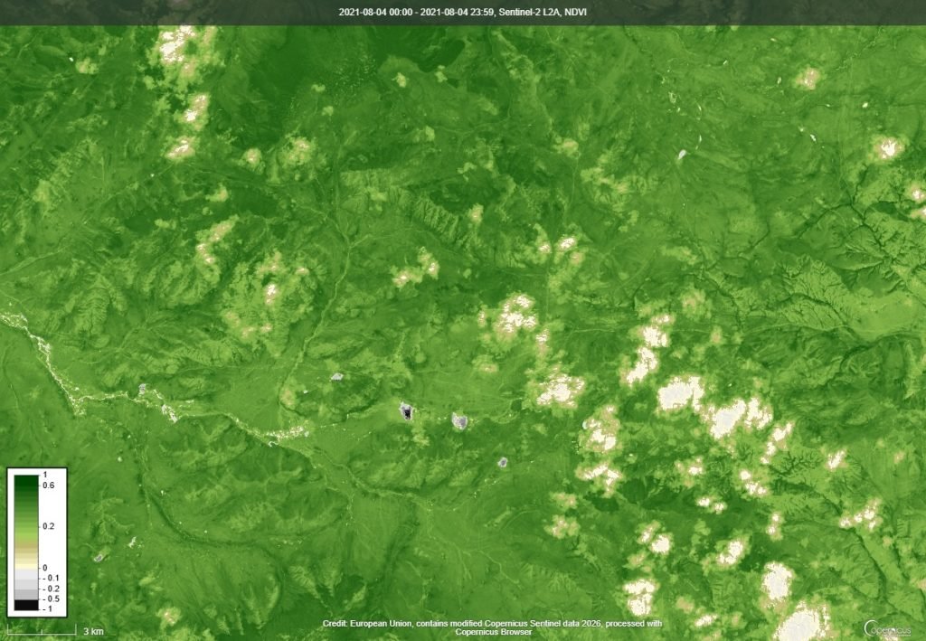 NDVI ургамлын индекс