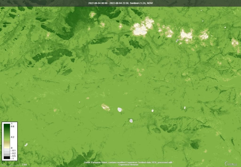 NDVI ургамлын индекс