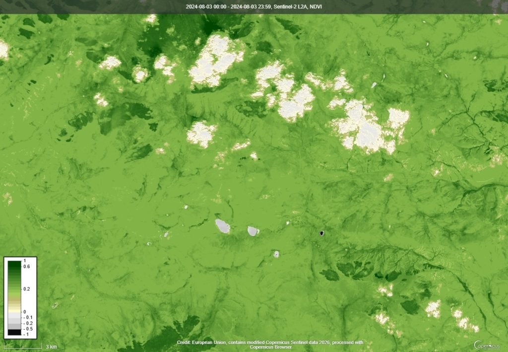 NDVI ургамлын индекс