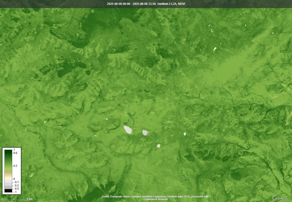 NDVI ургамлын индекс