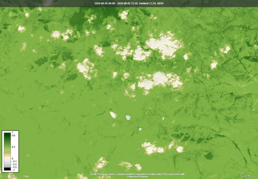 NDVI ургамлын индекс