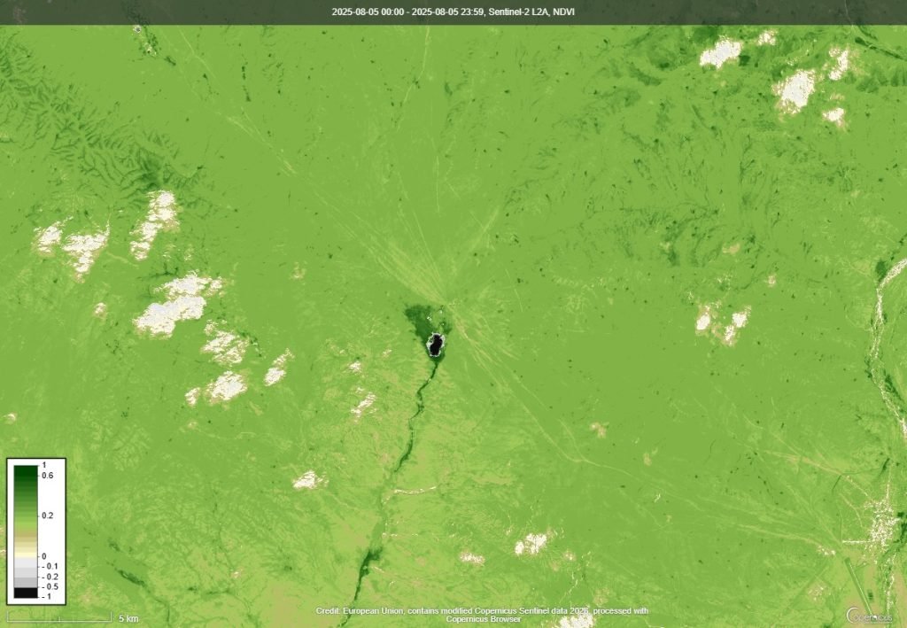 NDVI ургамлын индекс