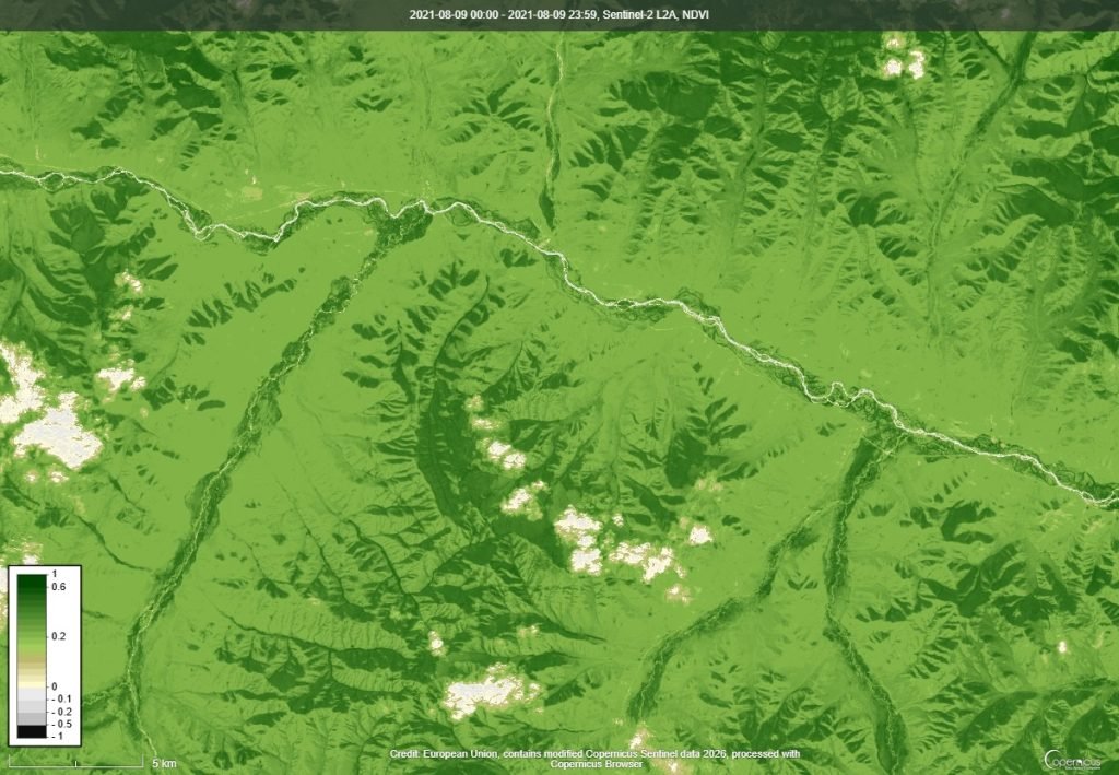 NDVI ургамлын индекс