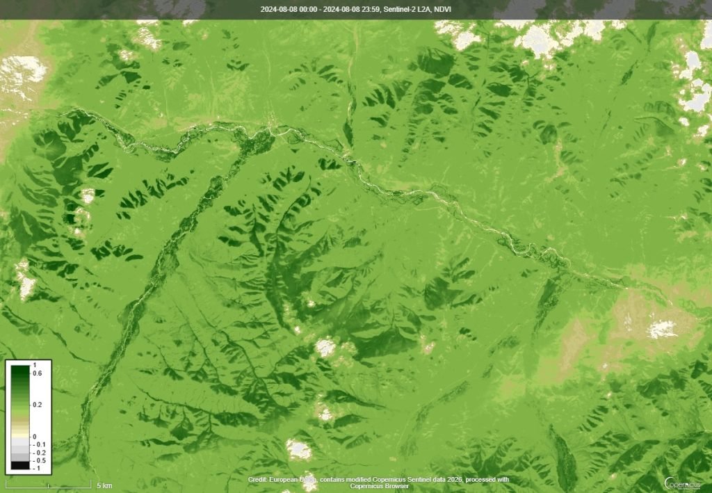 NDVI ургамлын индекс
