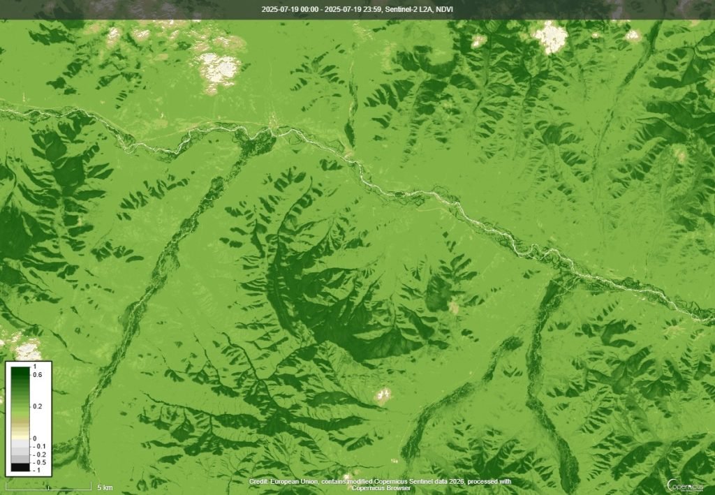 NDVI ургамлын индекс