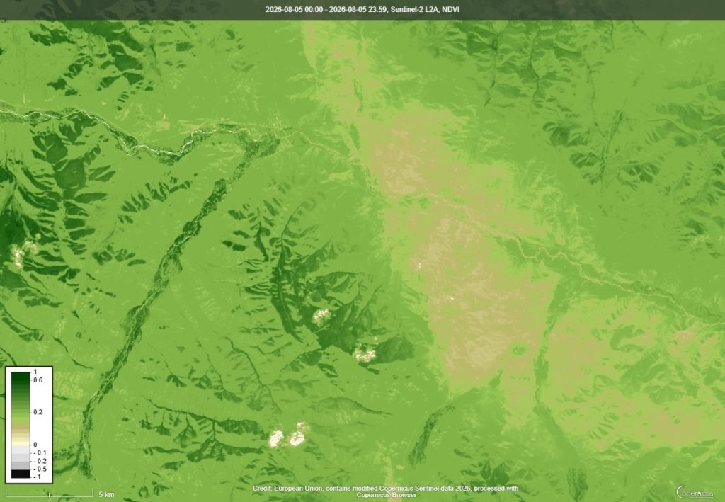 NDVI ургамлын индекс