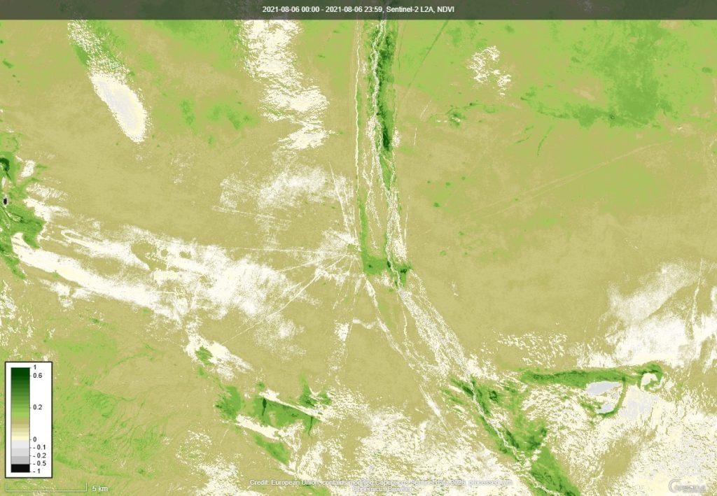 NDVI ургамлын индекс