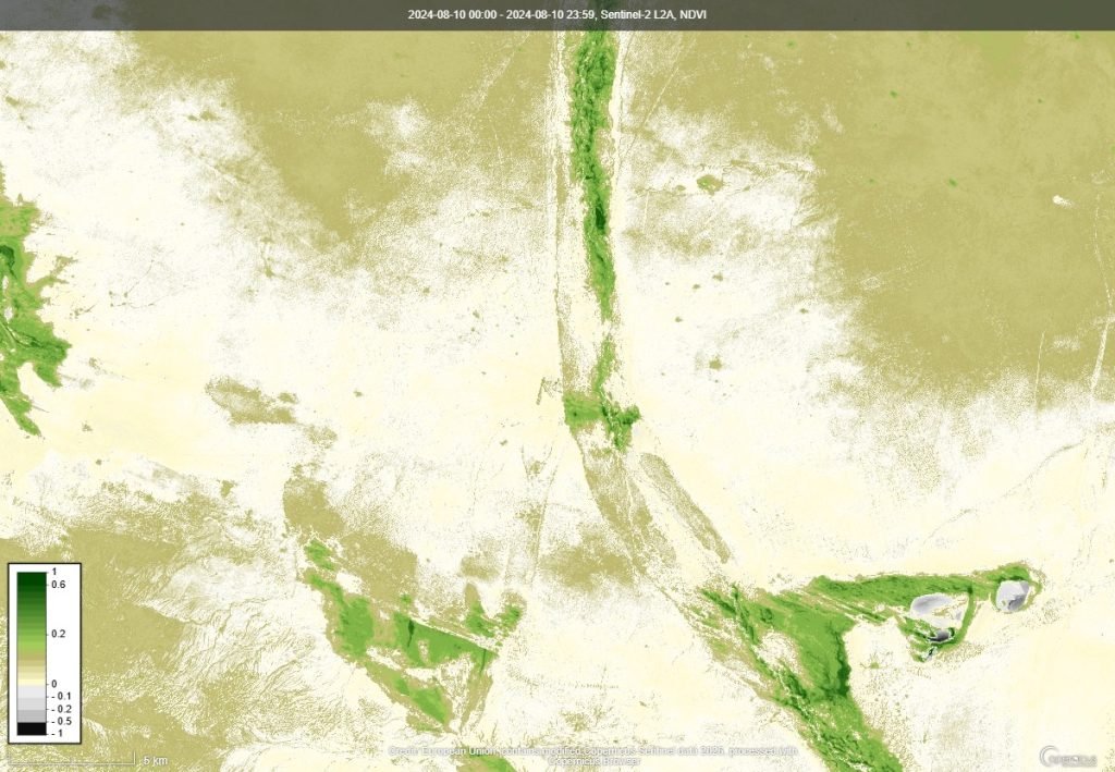 NDVI ургамлын индекс