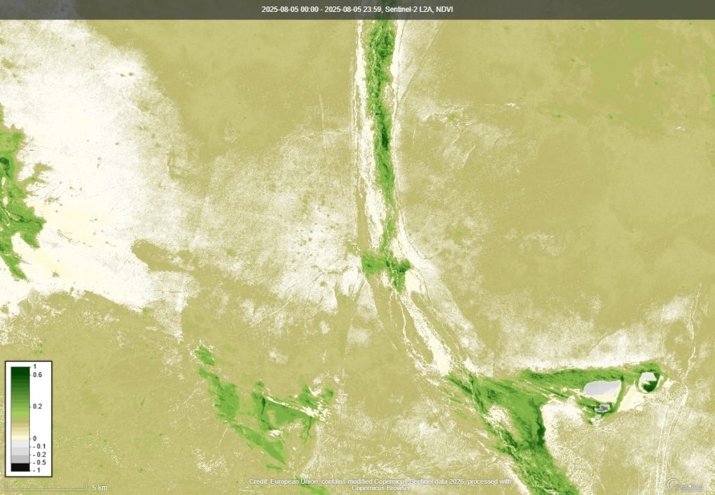 NDVI ургамлын индекс