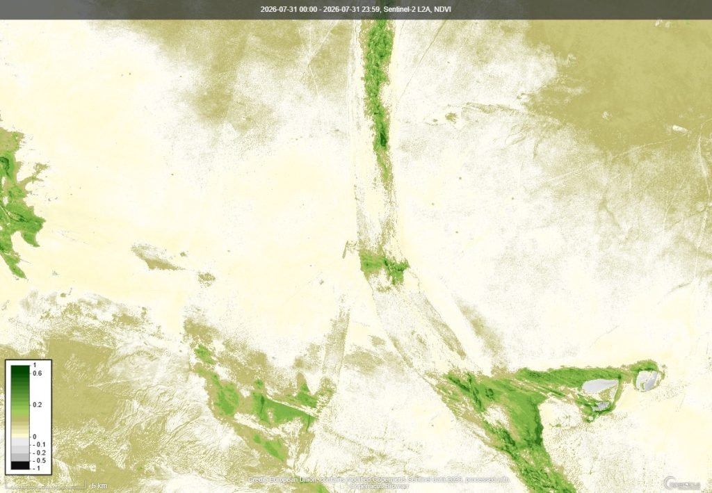 NDVI ургамлын индекс